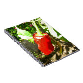 レッドカプシウムノートブック ノートブック (右側)