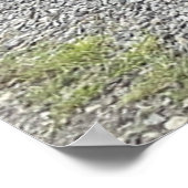 レッドカボース ポスター (角)