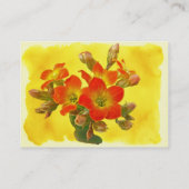 レッドカランチョー – 多肉日光 名刺 (裏面)