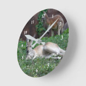 レッドカンガルー6950時計 ラウンド壁時計 (傾斜)