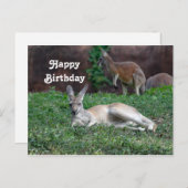 レッドカンガルー 6950 バースデーポストカード ポストカード (正面/裏面)