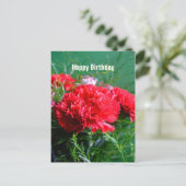 レッドカーネーションハッピーバースデーはがき ポストカード (スタンド正面)