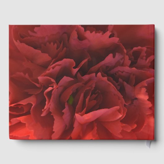 レッドカーネーションフローラお祝いオブ・ライフ ゲストブック (裏面)