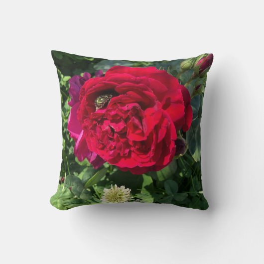 レッドガーデンバラとバグ クッション (正面)