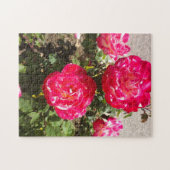 レッドガーデンバラ ジグソーパズル (横)