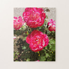 レッドガーデンバラ ジグソーパズル