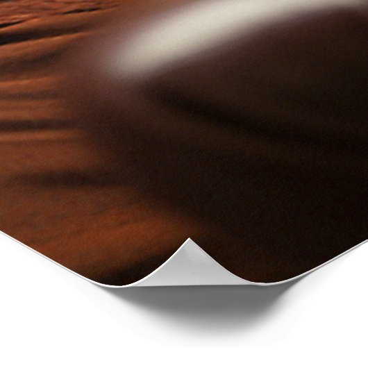 レッドキツネインアスーツとタイラグジュアリー写真 ポスター (角)