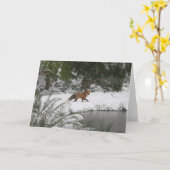 レッドキツネインウィンターワンダーランド カード (黄色い花)