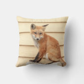 レッドキツネキットインザハドソンバレー クッション (裏面)