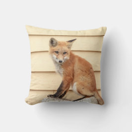 レッドキツネキットインザハドソンバレー クッション