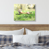 レッドキツネキット キャンバスプリント (インサイチュ (寝室))
