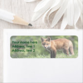 レッドキツネキット ラベル (インサイチュ)