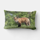 レッドキツネキット ランバークッション (裏面)