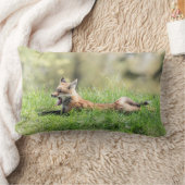 レッドキツネキット ランバークッション (ブランケット)