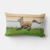 レッドキツネキットinザハドソンバレー ランバークッション (裏面)