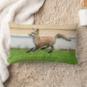 レッドキツネキットinザハドソンバレー ランバークッション (ブランケット)
