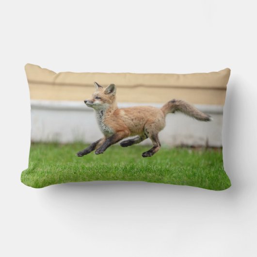 レッドキツネキットinザハドソンバレー ランバークッション (正面)