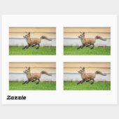 レッドキツネキットinザハドソンバレー 長方形シール (シート)