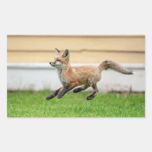 レッドキツネキットinザハドソンバレー 長方形シール (正面)