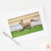 レッドキツネキットinザハドソンバレー 長方形シール (封筒)