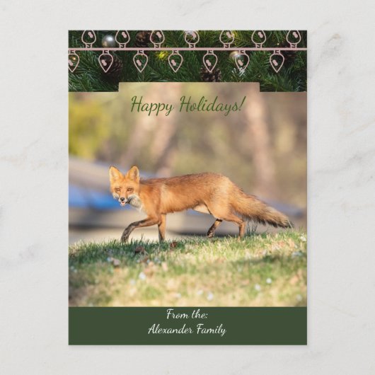 レッドキツネクリスマスカード シーズンポストカード (正面)