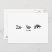 レッドキツネラインアート(タイトル) ポストカード (正面/裏面)