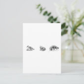 レッドキツネラインアート ポストカード (スタンド正面)