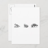 レッドキツネラインアート ポストカード (正面/裏面)