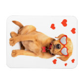 レッドキツネラブラドールパピーラブ マグネット (横)