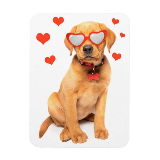 レッドキツネラブラドールパピーラブ マグネット (縦)