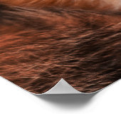 レッドキツネワイルドウッドランド動物 ポスター (角)