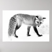 レッドキツネワイルドライフブラック&ホワイト写真アート ポスター (正面)