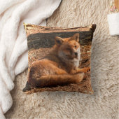 レッドキツネ野生動物写真 クッション (ブランケット)