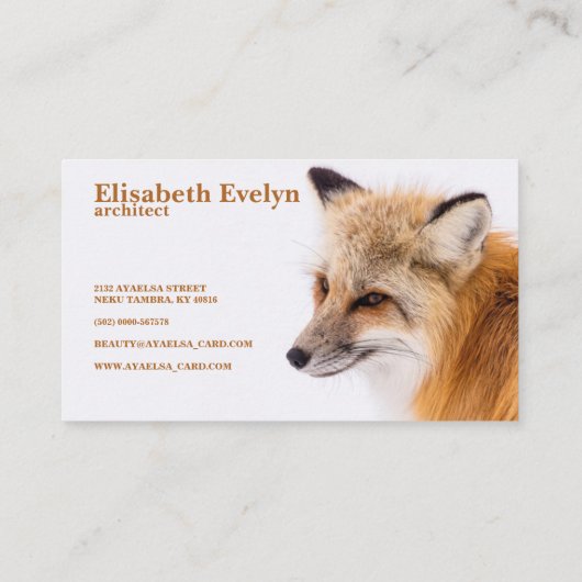 レッドキツネ 名刺 (裏面)