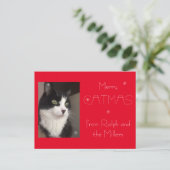 レッドキャットペットフォトカメリートマス シーズンポストカード (スタンド正面)