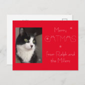 レッドキャットペットフォトカメリートマス シーズンポストカード (正面/裏面)