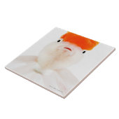 レッドキャップのlionheadの金魚(フナのauratus) タイル (側面)