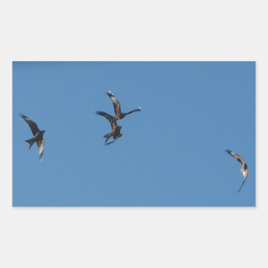 レッドキートステッカー 長方形シール (正面)