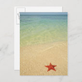 レッドクッションシースター |トリニダード、キューバ ポストカード (正面/裏面)