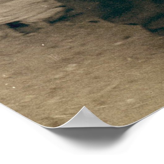 レッドクラウドとアメリカンホース – 1891 ポスター (角)