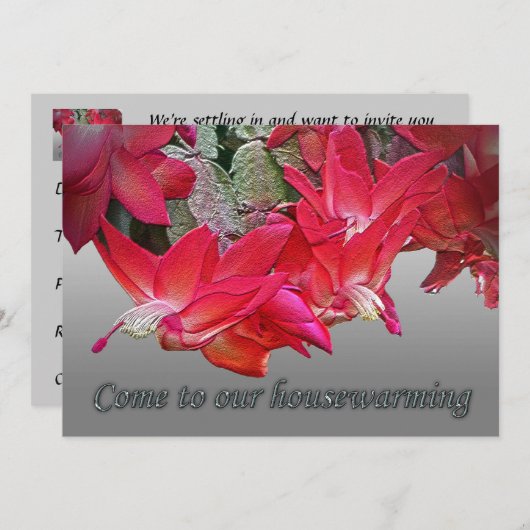 レッドクリスマスサボテン引っ越し祝いパーティー招待状 招待状 (正面/裏面)