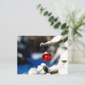 レッドクリスマスボール、晴れの日 ポストカード (スタンド正面)