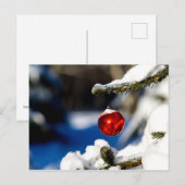 レッドクリスマスボール、晴れの日 ポストカード (正面/裏面)