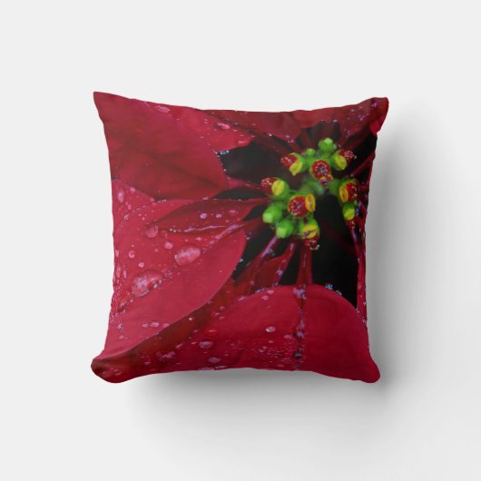 レッドクリスマスポインセチア クッション (正面)