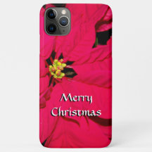 レッドクリスマスポインセチア