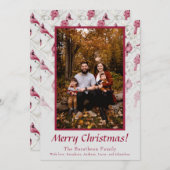 レッドクリスマス（鳥）ショウジョウコウカンチョウパーソナライズされたファミリー シーズンカード (正面/裏面)