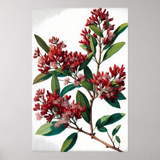 レッドクレープマートルフラワーアートプリントポスター ポスター