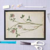 レッドクローバーバイジャックドゥモラグ 薄葉紙 (クラフト)