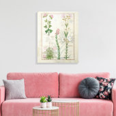 レッドクローバー&オーベベリディスオノブリキス&ヒソプス キャンバスプリント (インサイチュ (リビング))