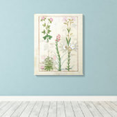 レッドクローバー&オーベベリディスオノブリキス&ヒソプス キャンバスプリント (インサイチュ (ウッドフロア))